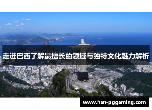 走进巴西了解最擅长的领域与独特文化魅力解析 走进巴西了解最擅长的领域与独特文化魅力解析