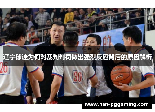 辽宁球迷为何对裁判判罚做出强烈反应背后的原因解析